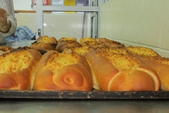 IMG_0232